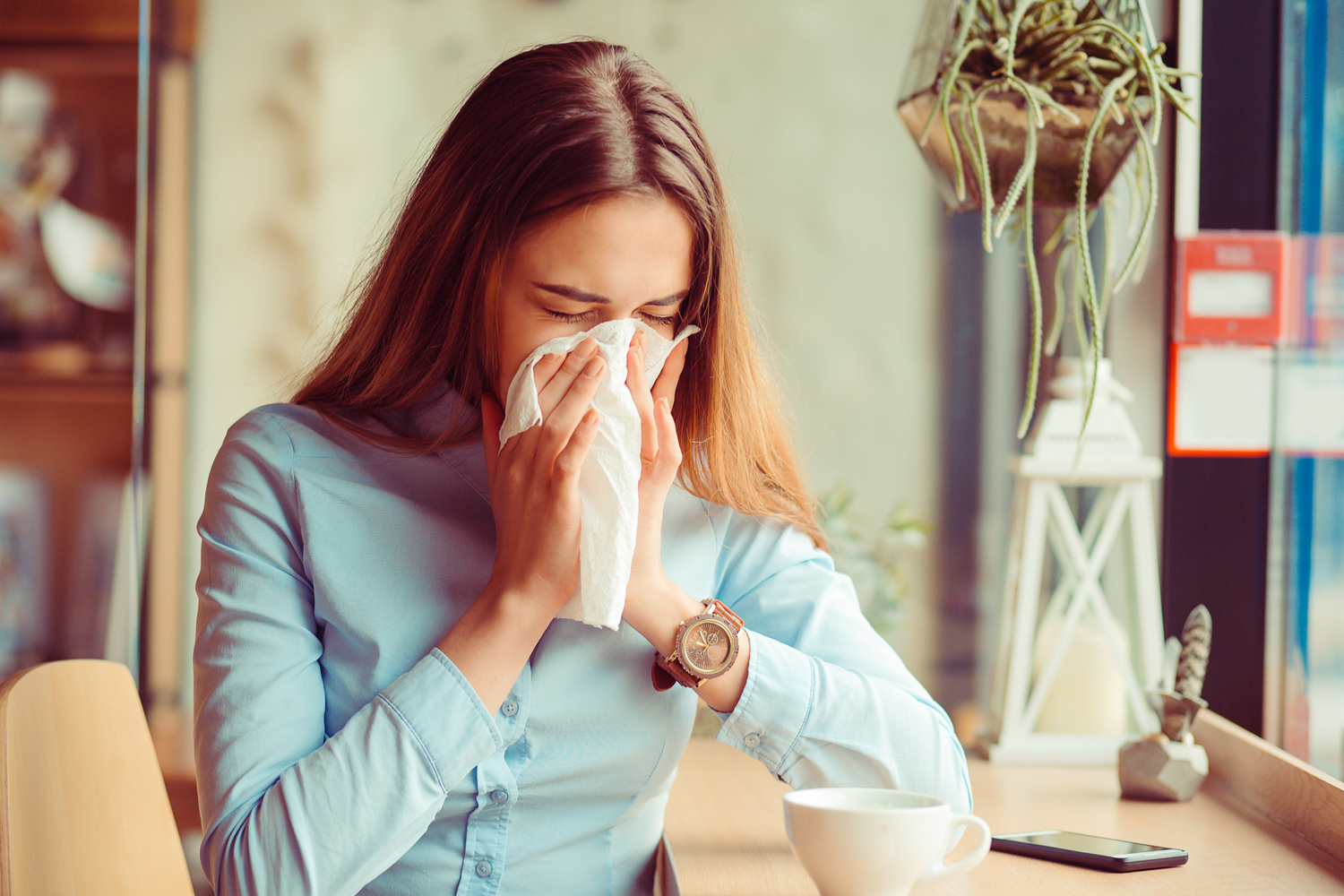 All about allergies and their triggers