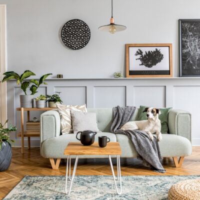 Fast Sale, Maximum Profit: How to Snag Top Dollar Cash Offers for Your Home